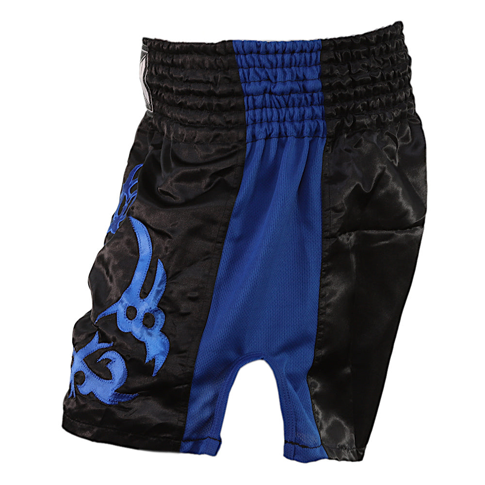 Punch Thai Shorts - Tested On Humans